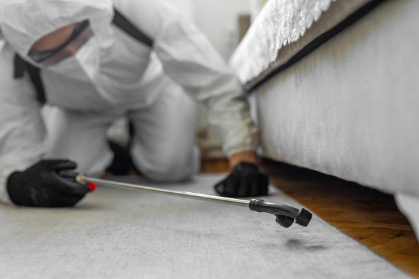 Professional Bed Bug Control technician working in Beverly, OH